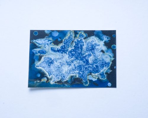 085 - PAOLA DÁVILA - ALGA (2)