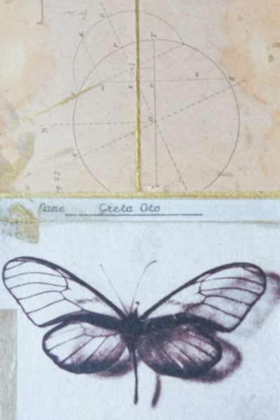 088 - PATRICIA LAGARDE LOPEZ - EFECTO MARIPOSA