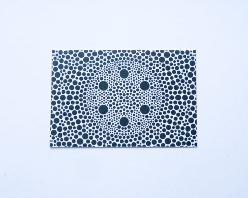 090 - LUIS DÍAZ GORDOA - RAIZ MAIZ