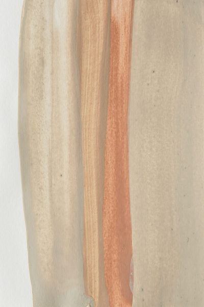 333 - CYNTHIA GUTIERREZ - PAISAJE ESTERIL